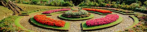 HAKGALA BOTANICAL GARDEN